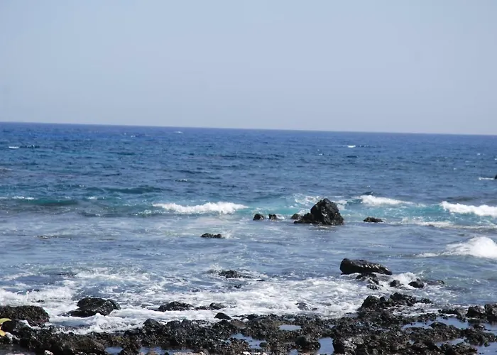 Blue Horizon Galletas *