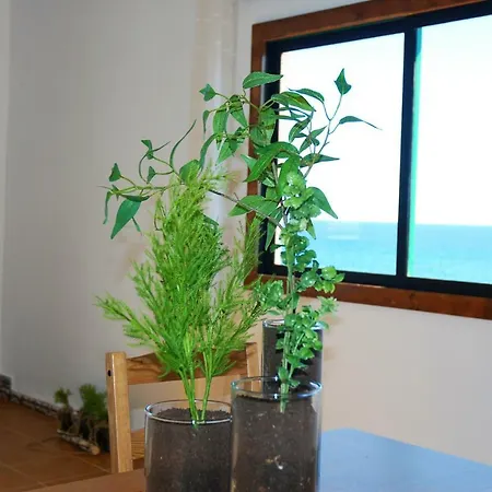 Apartman Blue Horizon Galletas Las Galletas